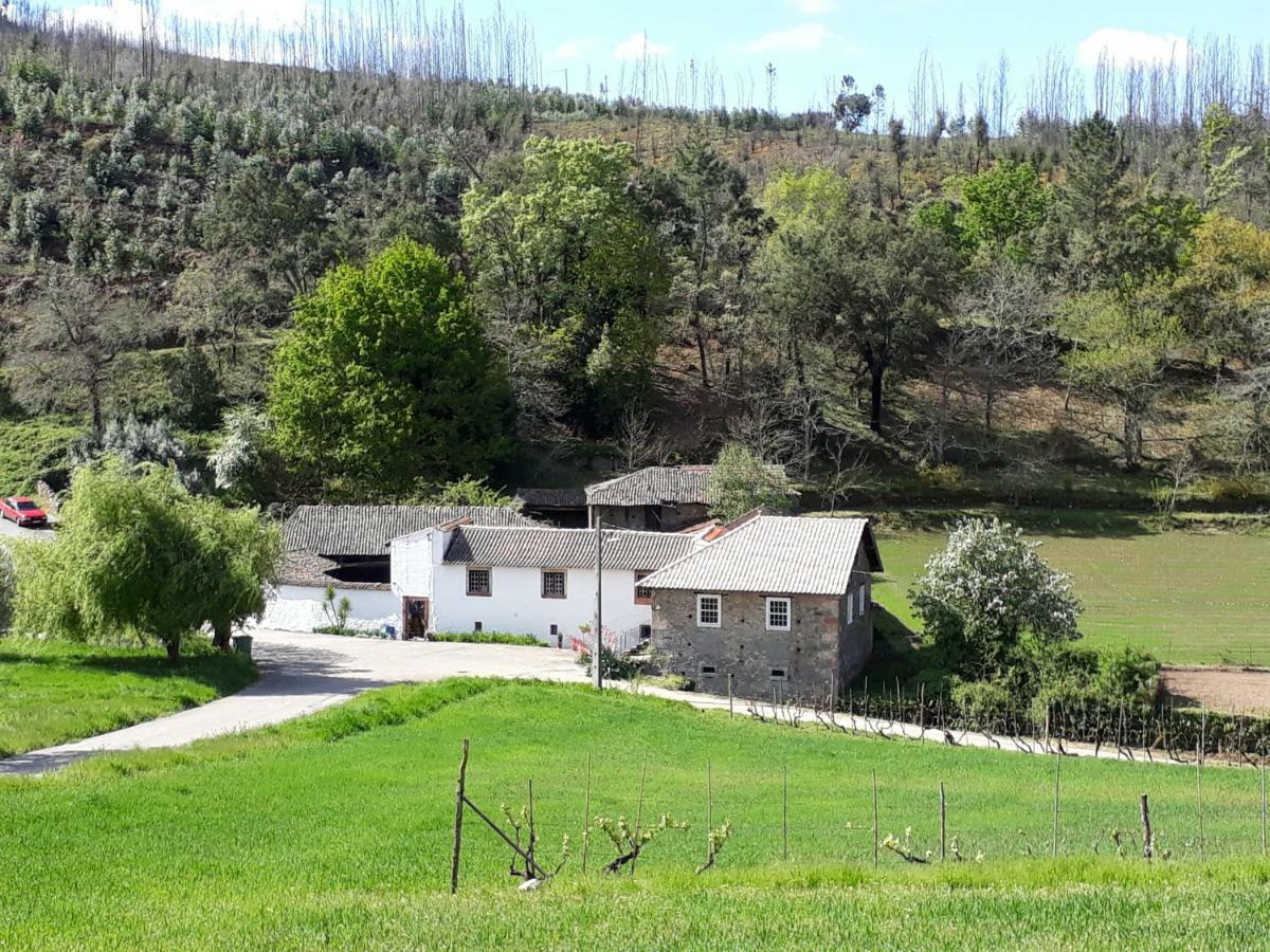 A Charming , Traditional Cottage At Quinta Da Ribeira Vila Nova de Poiares Bagian luar foto